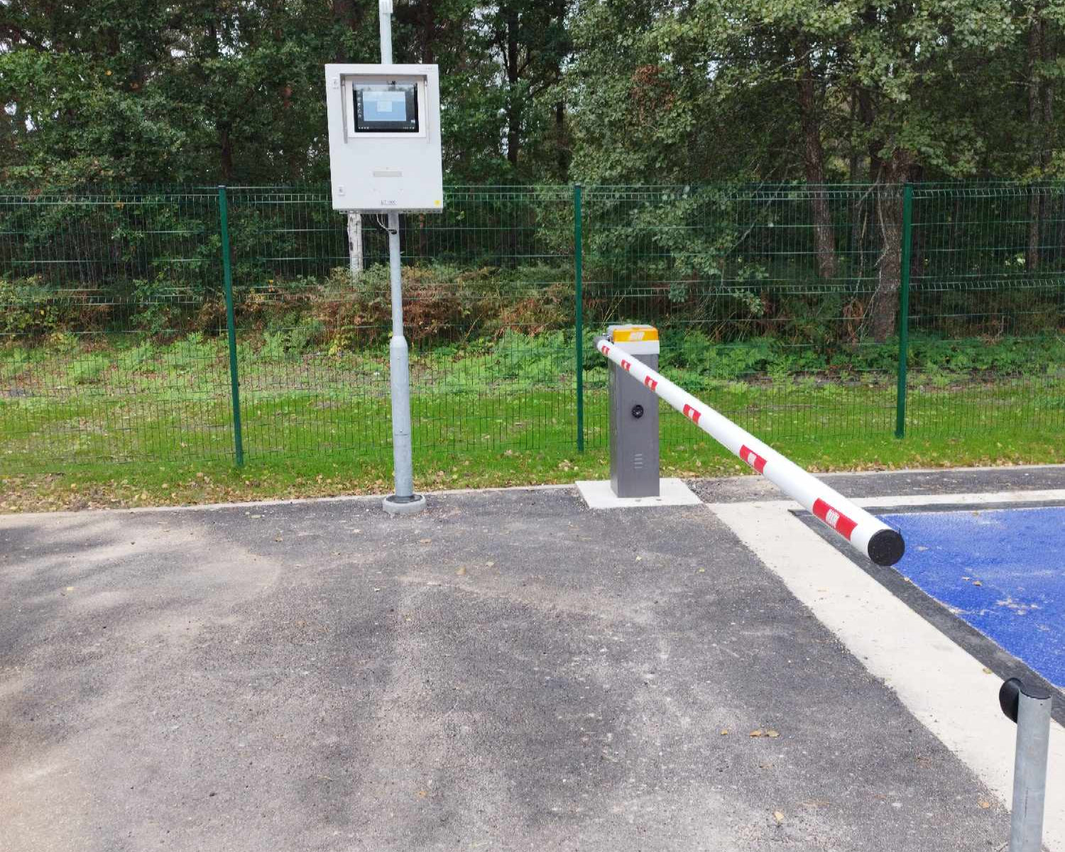 Skaidrė